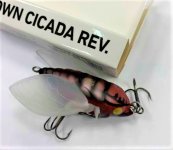 Воблер DAIWA Drown Cicada Rev. 41 F цв.KU 0743 2840(Китай)