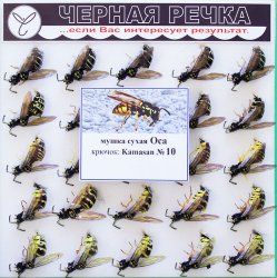 Мушка искуственная ЧЕРНАЯ РЕЧКА 5191 сухая Оса кр.Kamasan №10(Россия)