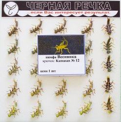 Мушка искуственная ЧЕРНАЯ РЕЧКА 5853 Нимфа Веснянка кр.Kamasan №12(Россия)