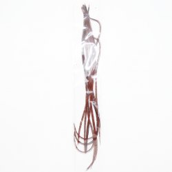 Перья петуха WHITING фасованные цв.coachman brown(США)