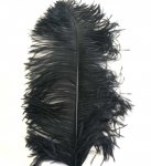 Перья страуса WAPSI Ostrich Plumes цв.black(США)